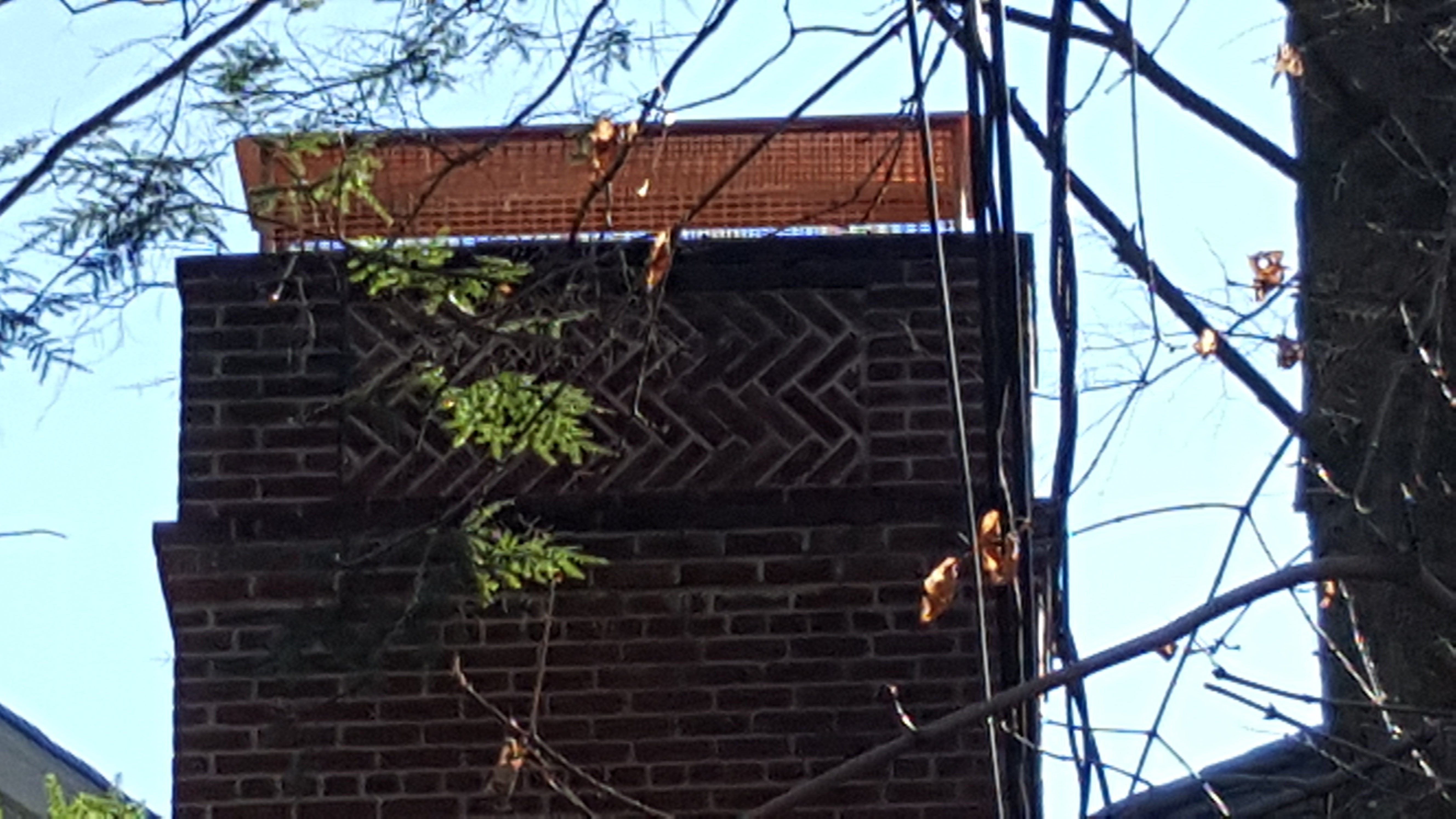 Animal-proof chimney cap protecting home in Port Washington, New York